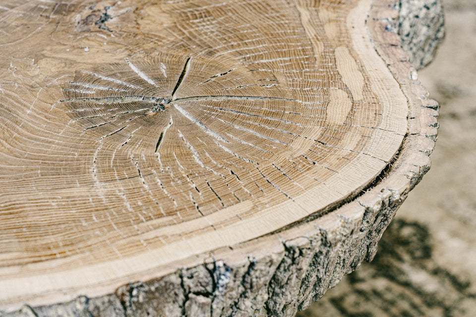 COFFEE TABLE 371